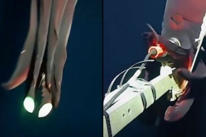 A terrifying creature is filmed at a depth of 1000 meters in the Pacific Ocean