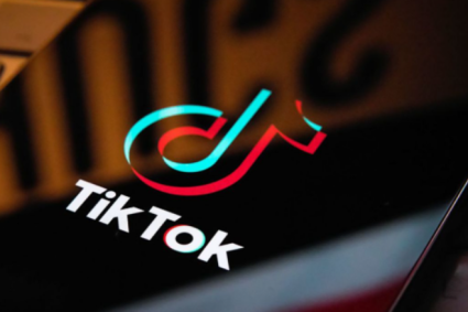 TikTok and Reddit under investigation over use of children’s data